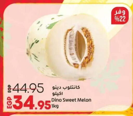 Melon available at Lulu Hypermarket  in Egypt