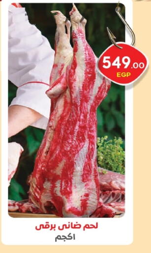 available at زاهر in Egypt - القاهرة