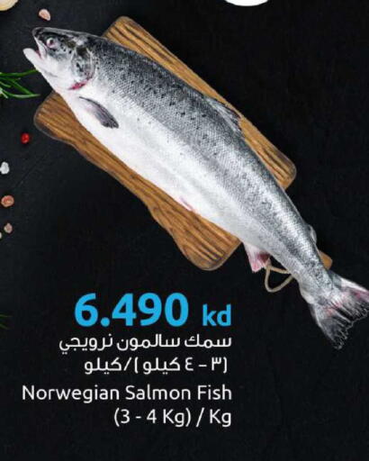 available at The Sultan Center in Kuwait - Jahra Governorate