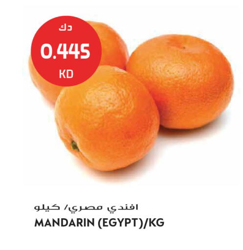 Mandarin from Egypt available at جراند هايبر in الكويت - محافظة الجهراء