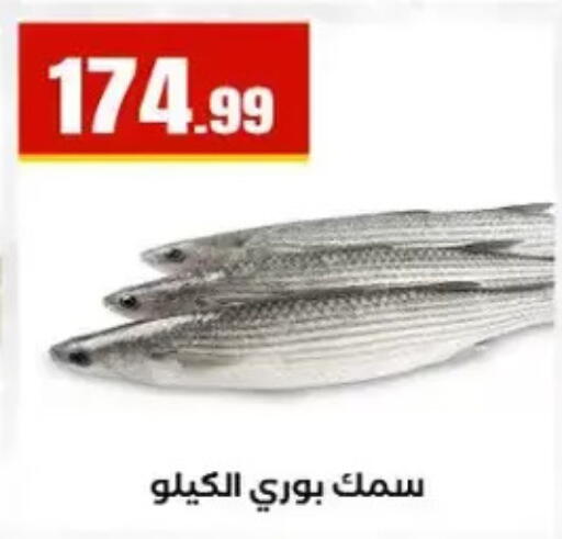 available at المحلاوي ستورز in Egypt - القاهرة