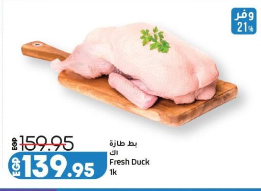 available at Lulu Hypermarket  in Egypt - Cairo