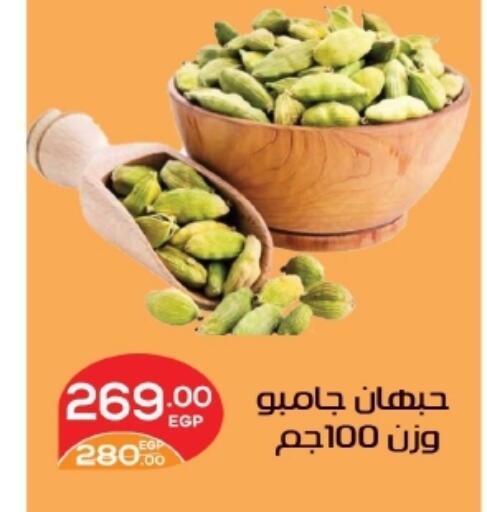 available at Zaher Dairy in Egypt - Cairo