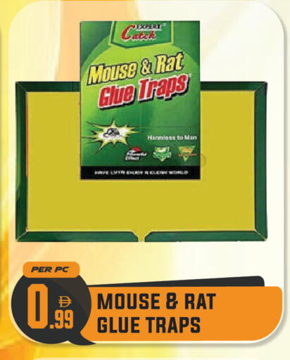 available at Dream Land in UAE - Dubai