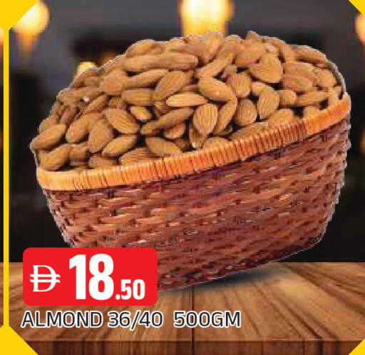 available at المدينة in الإمارات العربية المتحدة , الامارات - الشارقة / عجمان