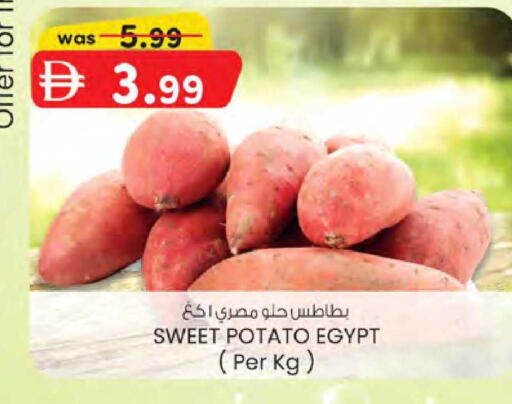 Sweet Potato from Egypt available at ك. الم. للتجارة in الإمارات العربية المتحدة , الامارات - دبي