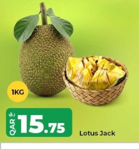 available at روابي هايبرماركت in قطر - الوكرة