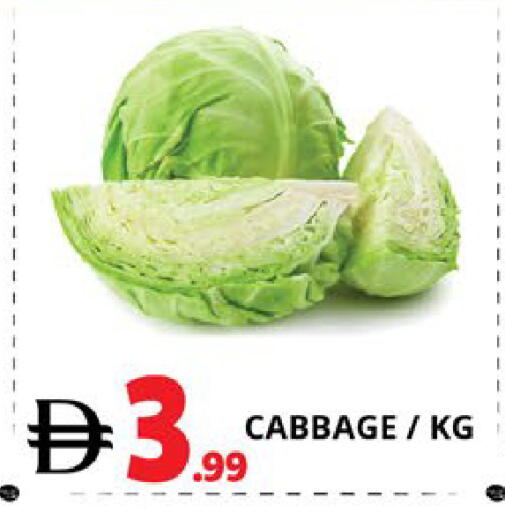 Cabbage available at اكسبرس المدينة هايبرماركت in الإمارات العربية المتحدة , الامارات - أبو ظبي