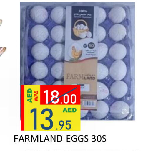 available at رويال جلف هايبرماركت in الإمارات العربية المتحدة , الامارات - أبو ظبي