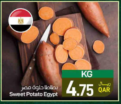 Sweet Potato from Egypt available at ســبــار in قطر - أم صلال