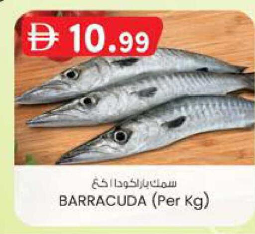 available at ك. الم. للتجارة in الإمارات العربية المتحدة , الامارات - ٱلْفُجَيْرَة‎