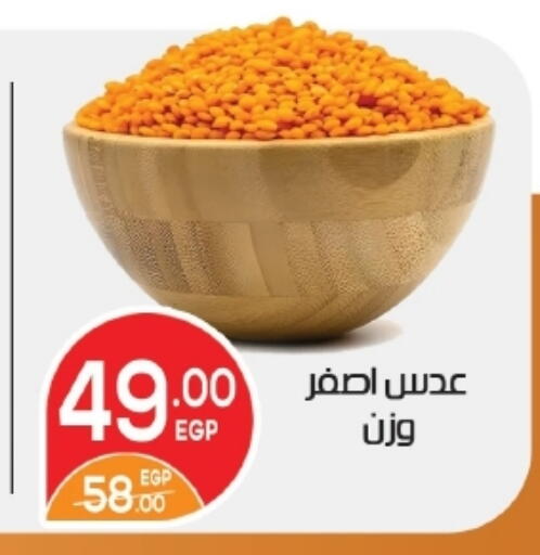 available at زاهر in Egypt - القاهرة