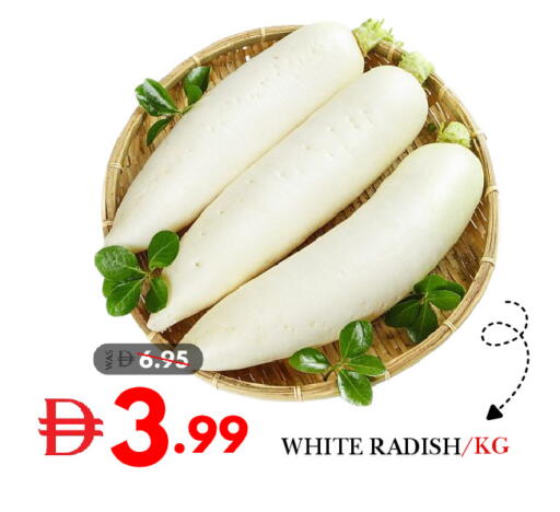 Radish available at ديزرت فريش ماركت in الإمارات العربية المتحدة , الامارات - أبو ظبي
