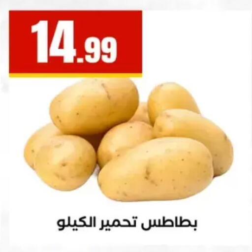 available at المحلاوي ستورز in Egypt - القاهرة