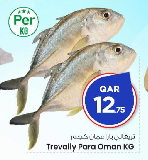 available at مارك & سيف in قطر - الضعاين