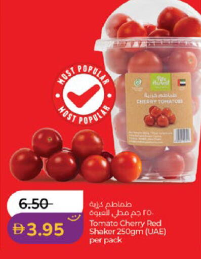 Cherry Tomato available at Lulu Hypermarket in UAE - Abu Dhabi