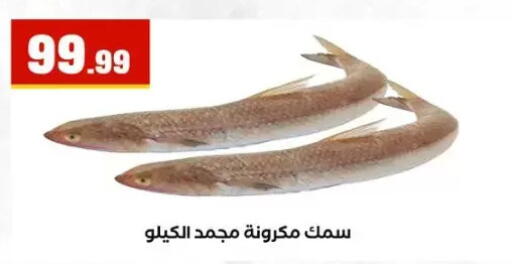 available at المحلاوي ستورز in Egypt - القاهرة