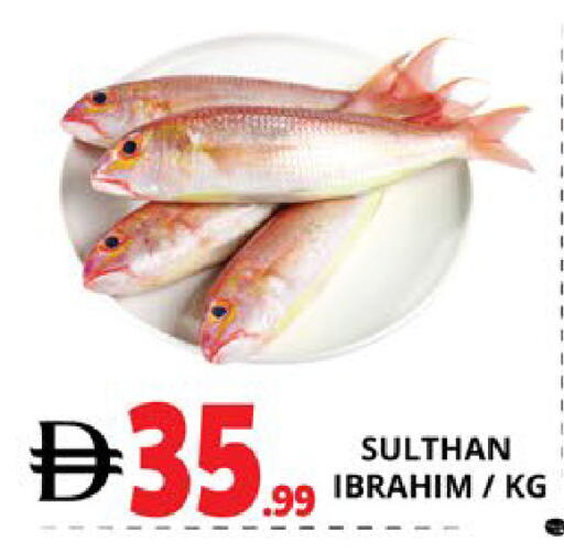 available at اكسبرس المدينة هايبرماركت in الإمارات العربية المتحدة , الامارات - أبو ظبي