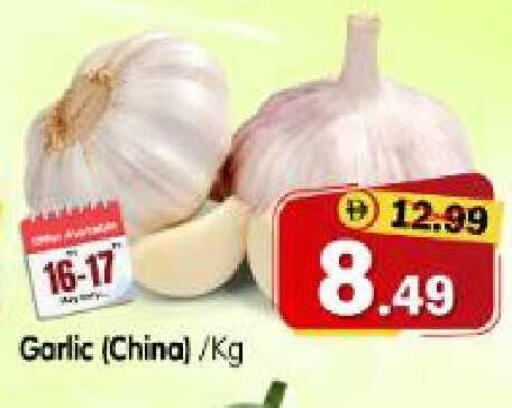 Garlic from China available at هايبر ماركت المدينة in الإمارات العربية المتحدة , الامارات - أبو ظبي