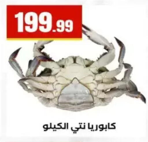 available at المحلاوي ستورز in Egypt - القاهرة