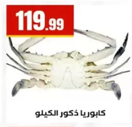 available at المحلاوي ستورز in Egypt - القاهرة
