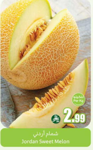 Melon from Jordan available at أسواق عبد الله العثيم in مملكة العربية السعودية, السعودية, سعودية - نجران