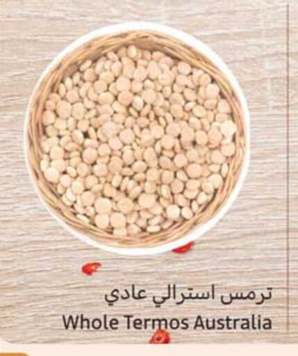 available at Othaim Markets in KSA, Saudi Arabia, Saudi - Al Hasa