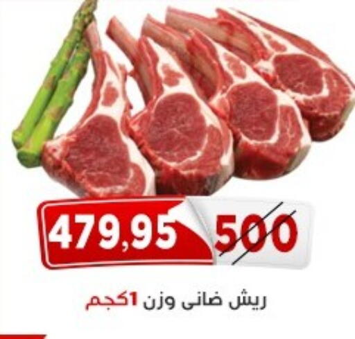 available at اسواق البدر in Egypt - القاهرة