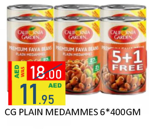 available at رويال جلف هايبرماركت in الإمارات العربية المتحدة , الامارات - أبو ظبي