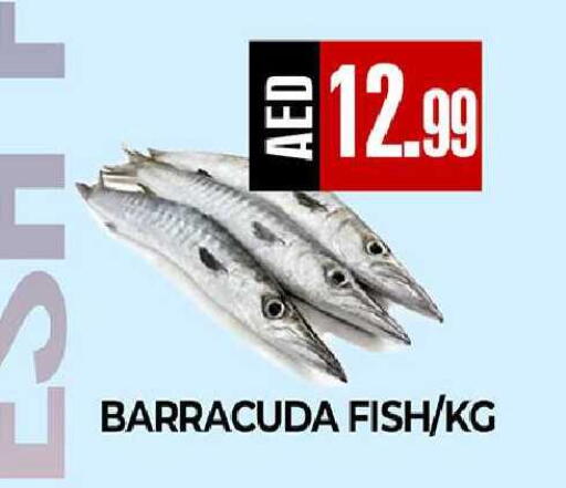 available at  RIVIERA SUPERMARKET L.L.C in UAE - Abu Dhabi