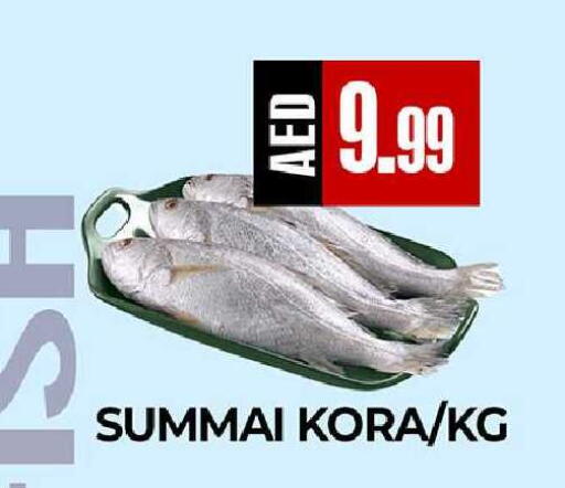 available at  RIVIERA SUPERMARKET L.L.C in UAE - Abu Dhabi