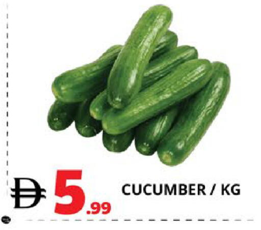 Cucumber available at اكسبرس المدينة هايبرماركت in الإمارات العربية المتحدة , الامارات - أبو ظبي