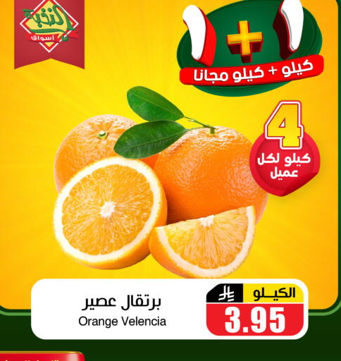 Orange from Valancia available at أسواق النخبة in مملكة العربية السعودية, السعودية, سعودية - عرعر