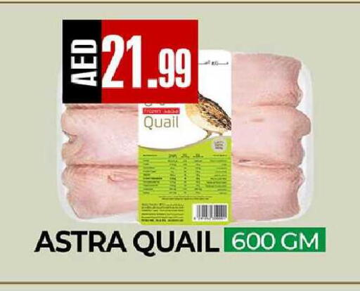 available at  RIVIERA SUPERMARKET L.L.C in UAE - Abu Dhabi