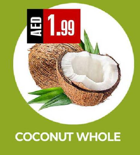 Coconut available at  RIVIERA SUPERMARKET L.L.C in UAE - Abu Dhabi