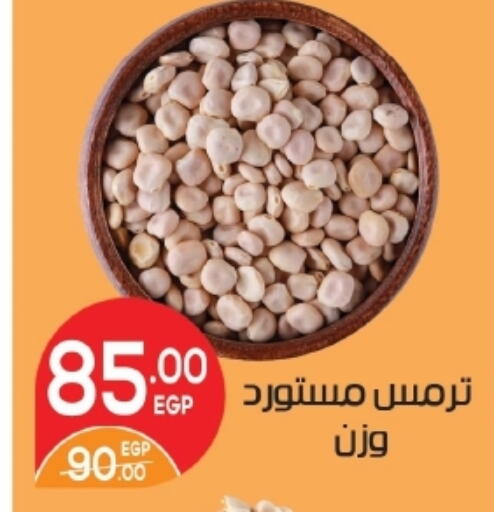 available at زاهر in Egypt - القاهرة