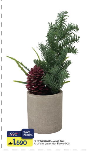 available at MARK & SAVE in Oman - Muscat