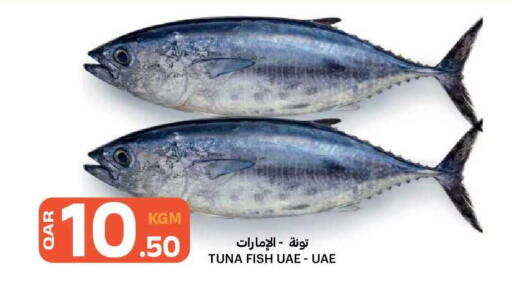 available at البلدي اليوم in قطر - الدوحة