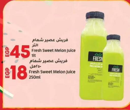 Melon available at Lulu Hypermarket  in Egypt