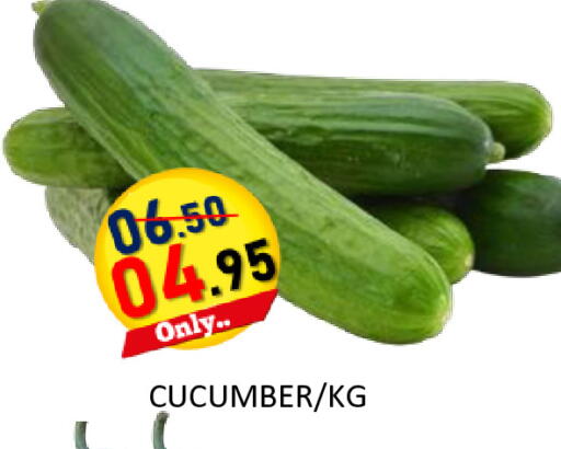 Cucumber available at رويال جلف هايبرماركت in الإمارات العربية المتحدة , الامارات - أبو ظبي