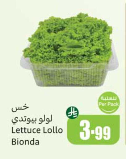 Lettuce available at أسواق عبد الله العثيم in مملكة العربية السعودية, السعودية, سعودية - الطائف