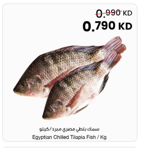 available at The Sultan Center in Kuwait - Jahra Governorate