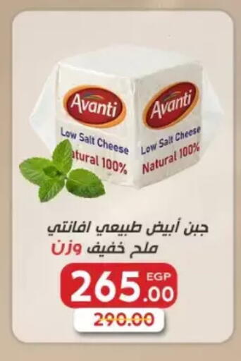 available at Galhom Market in Egypt - Cairo