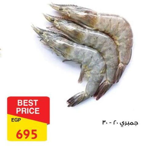 available at فتح الله in Egypt - القاهرة
