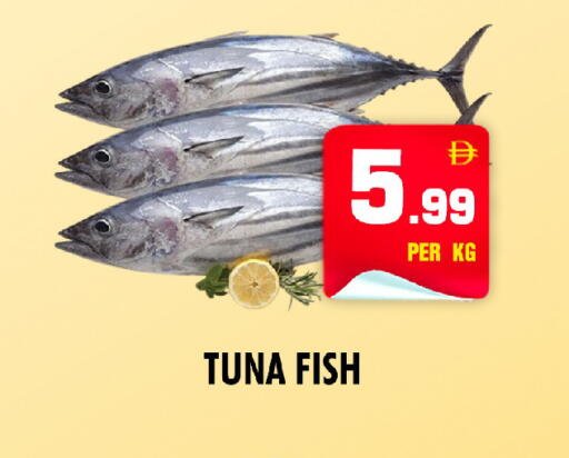 available at نايت تو نايت in الإمارات العربية المتحدة , الامارات - دبي