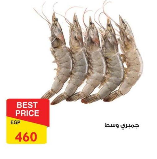available at فتح الله in Egypt - القاهرة
