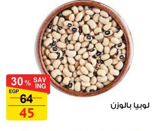 available at فتح الله in Egypt - القاهرة