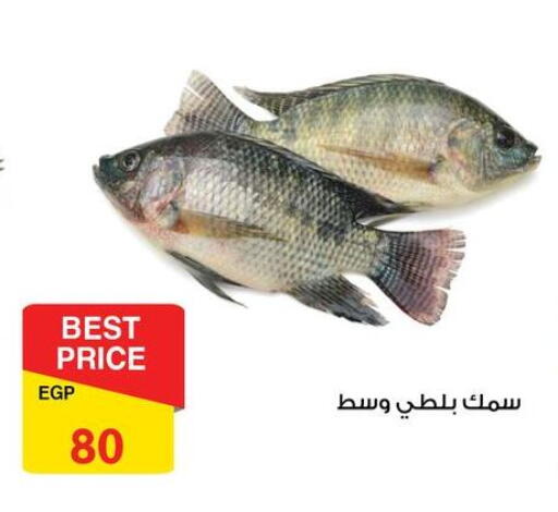 available at فتح الله in Egypt - القاهرة