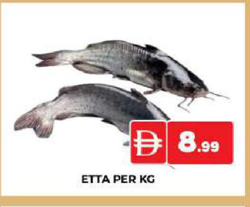 available at AL MADINA (Dubai) in UAE - Dubai