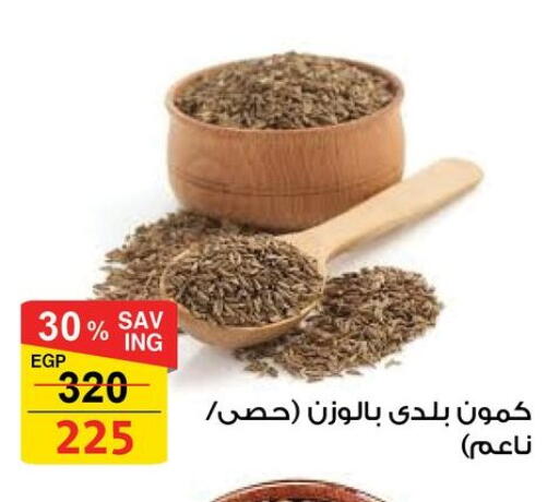 available at فتح الله in Egypt - القاهرة